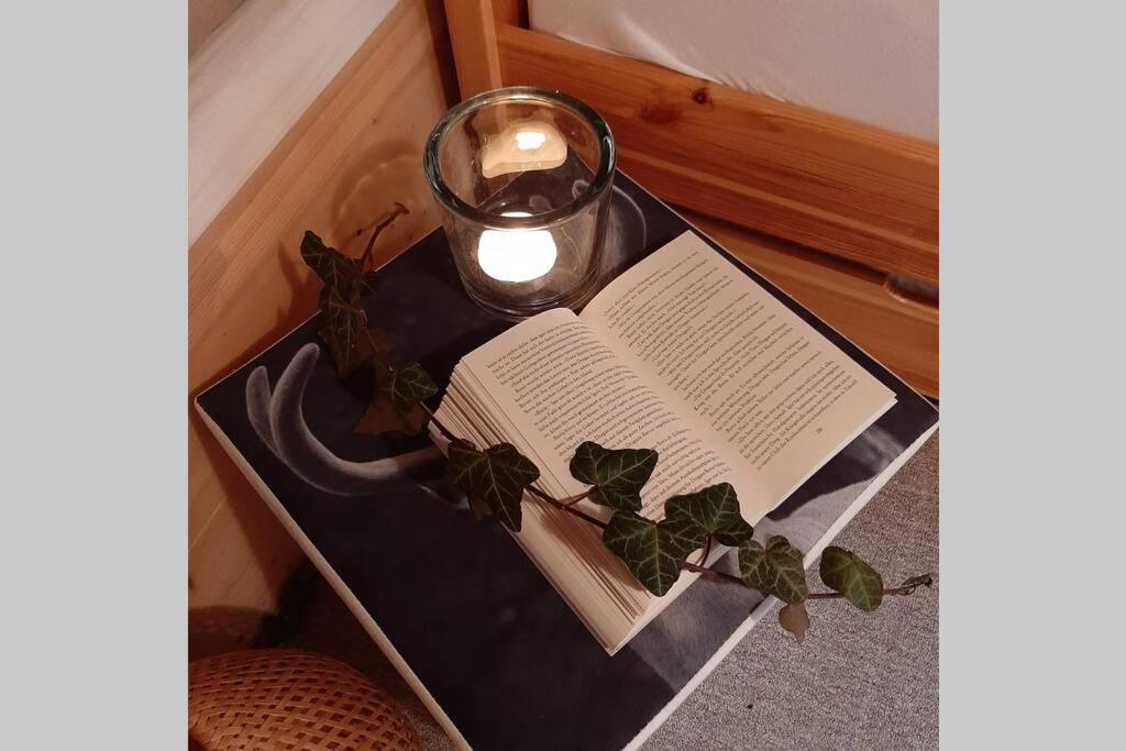 Haus Fritz - Erholung In Den Bergen Apartment Донерсбахвалд Екстериор снимка