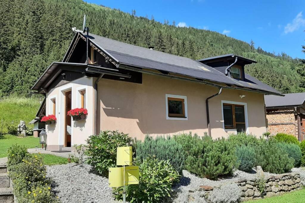 Haus Fritz - Erholung In Den Bergen Apartment Донерсбахвалд Екстериор снимка